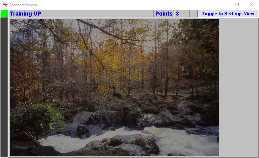 eeg neurofeeback feedback screen